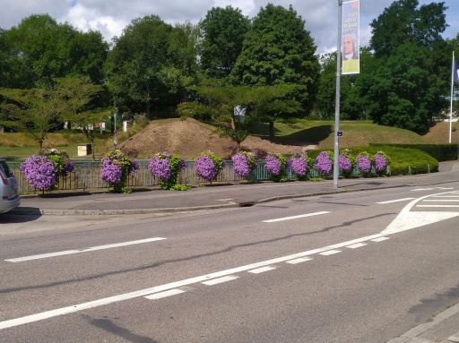 Klicken für Bild in voller Größe