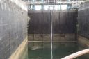 Filename=60cm_Wasser_fehlen~0.JPG
Filesize=470KiB
Dimensions=2233x1491
Date added=Aug 13, 2019 60cm_Wasser_fehlen~0.JPG