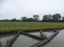 Dateiname=Abweiser_vor_Schleuse_fuer_Mietboote.JPG
Dateigröße=375KB
Abmessungen: 2233x1674
hinzugefügt am: 21. September 2016 Abweiser_vor_Schleuse_fuer_Mietboote.JPG