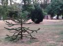 Dateiname=Botanischer_Garten.jpg
Dateigröße=661KB
Abmessungen: 2233x1674
hinzugefügt am: 25. Juli 2019 Botanischer_Garten.jpg
