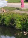 IMG_20250718_080153.jpg