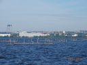 Dateiname=Stellnetze_vor_Stettin.JPG
Dateigröße=506KB
Abmessungen: 2233x1674
hinzugefügt am: 05. Juli 2016 Stellnetze_vor_Stettin.JPG