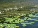Dateiname=WasserFlowerPower.JPG
Dateigröße=738KB
Abmessungen: 2233x1674
hinzugefügt am: 10. Juni 2019 WasserFlowerPower.JPG