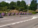 Filename=allerorts_herrliche_Blumen.jpg
Filesize=890KiB
Dimensions=2233x1674
Date added=Aug 13, 2019 allerorts_herrliche_Blumen.jpg