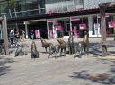 Dateiname=die_heulenden_Woelfe_in_Wolfsburg.JPG
Dateigröße=668KB
Abmessungen: 2233x1674
hinzugefügt am: 10. Juli 2015 die_heulenden_Woelfe_in_Wolfsburg.JPG