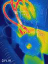 flir_20231004T121535.jpg
