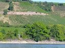 roter-Weinhang.jpg